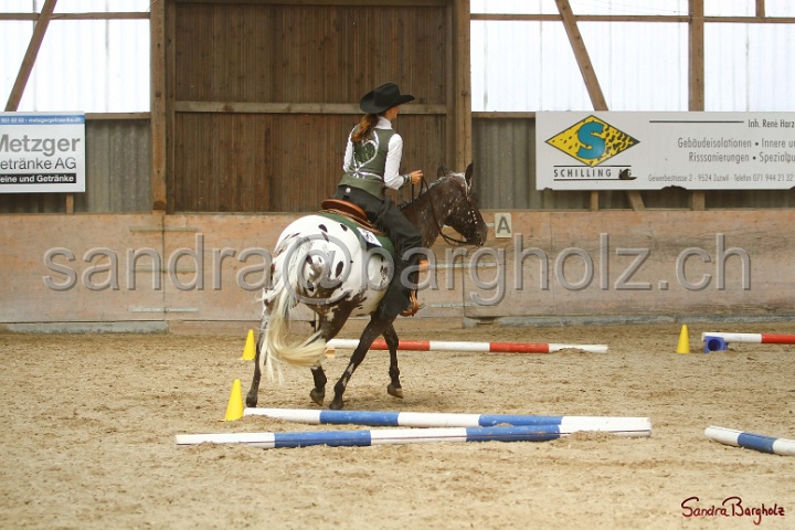 28-ApHC OT_005.jpg